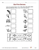 Five Senses