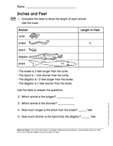 Inches and Feet (Gr. 2)