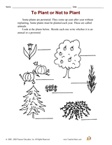 To Plant or Not to Plant