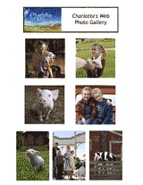 Charlotte's Web Photo Gallery 1
