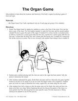 The Organ Game