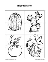 Bloom Match