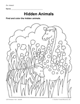 Hidden Animals