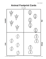 Animal Footprint Cards
