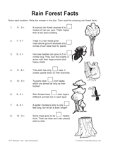 Rain Forest Facts