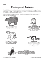 Endangered Animals