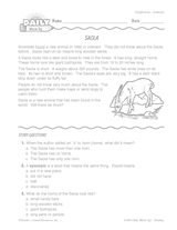 Nonfiction Reading Warm-Up: The Saolo