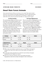 Dwarf Rain Forest Animals