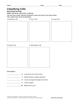 Science Activity: Classifying Cells