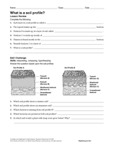 What Is a Soil Profile?