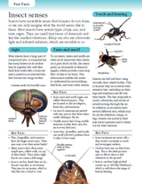 Insect Senses