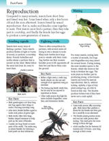 Insect Reproduction
