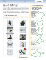 Insect Defenses