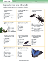 Insect Reproduction and Life Cycle