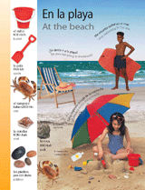 At the beach (En la playa)