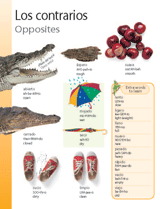Opposites (Los contrarios)